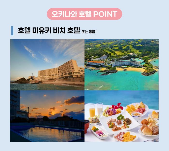 [THE 로코팩] 파란 바다에 물든 우리의 계절, 오키나와 4일