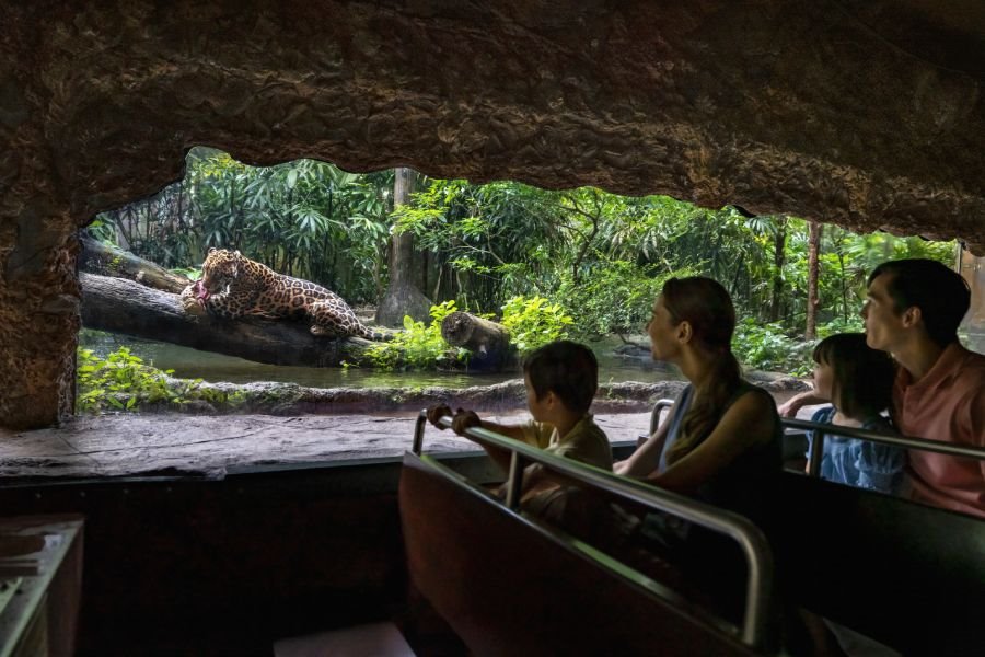 [6인 출발] 프리미엄 싱가포르 3박 5일[1일 자유 / 노쇼핑 / 노옵션 / 노팁]