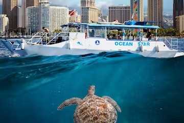 Waikiki-Turtle-Snorkeling-Tour-Ocean-Star-HI-1