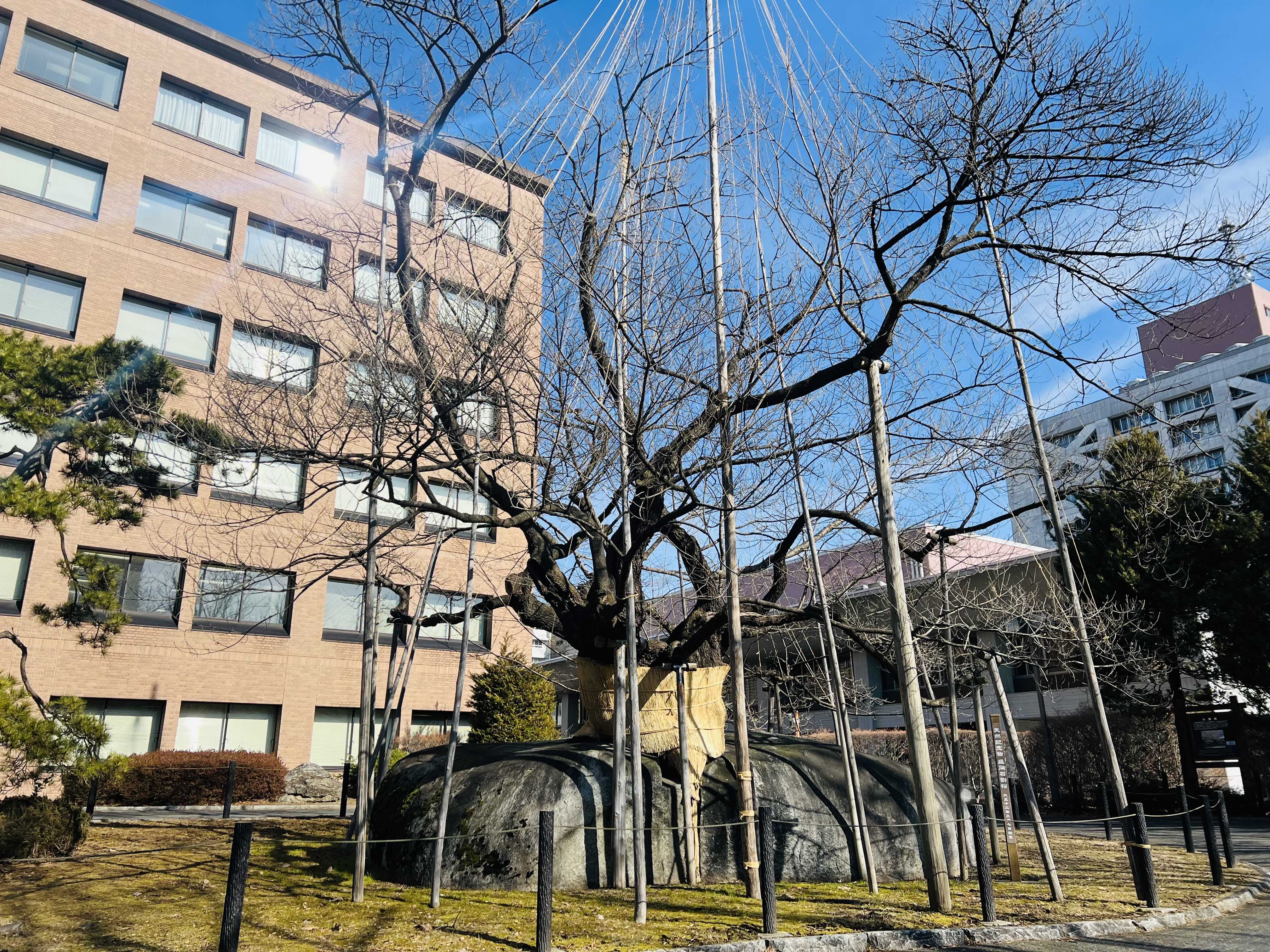 한진관광