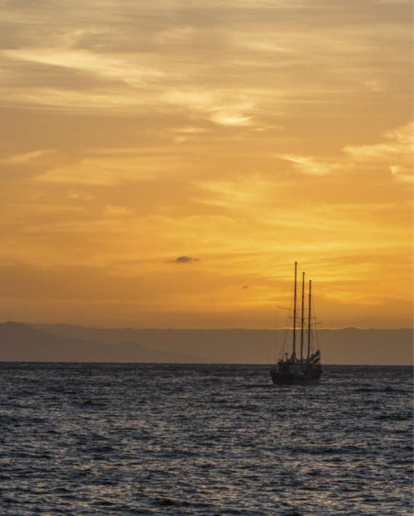 스크린샷 2024-10-17 160005