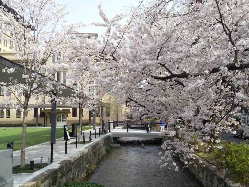 20210410kiyamachi7.jpg