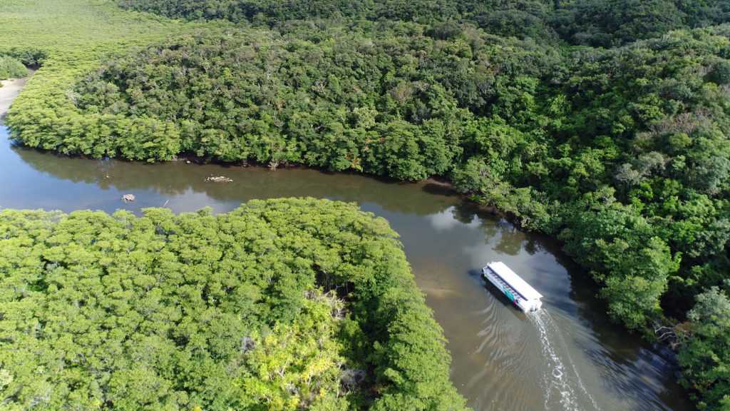 맹그로브 크루즈.jpg