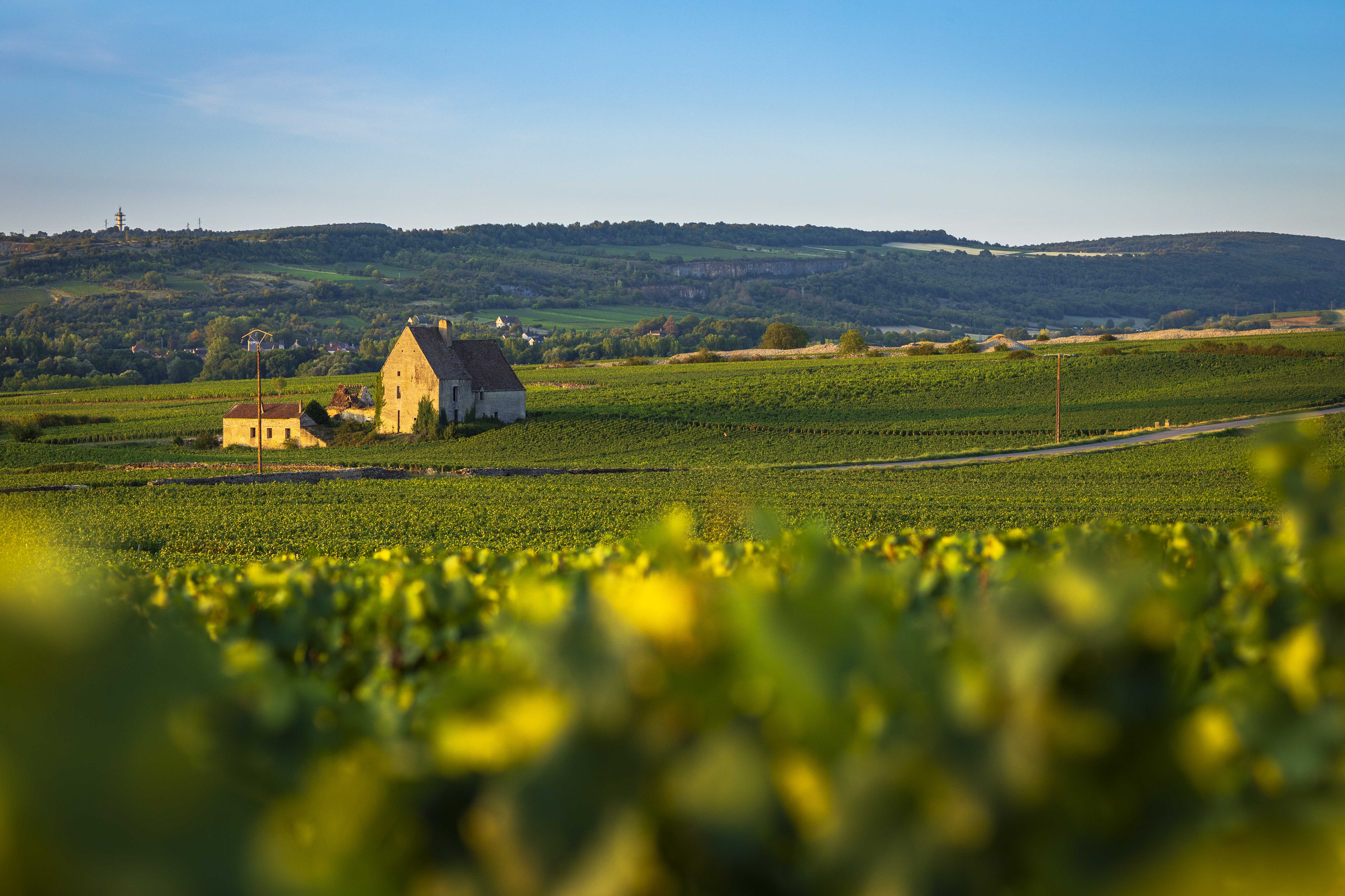 0003_Abbaye_de_Morgeot_-_AIbanez_-_06092019_0602.jpg