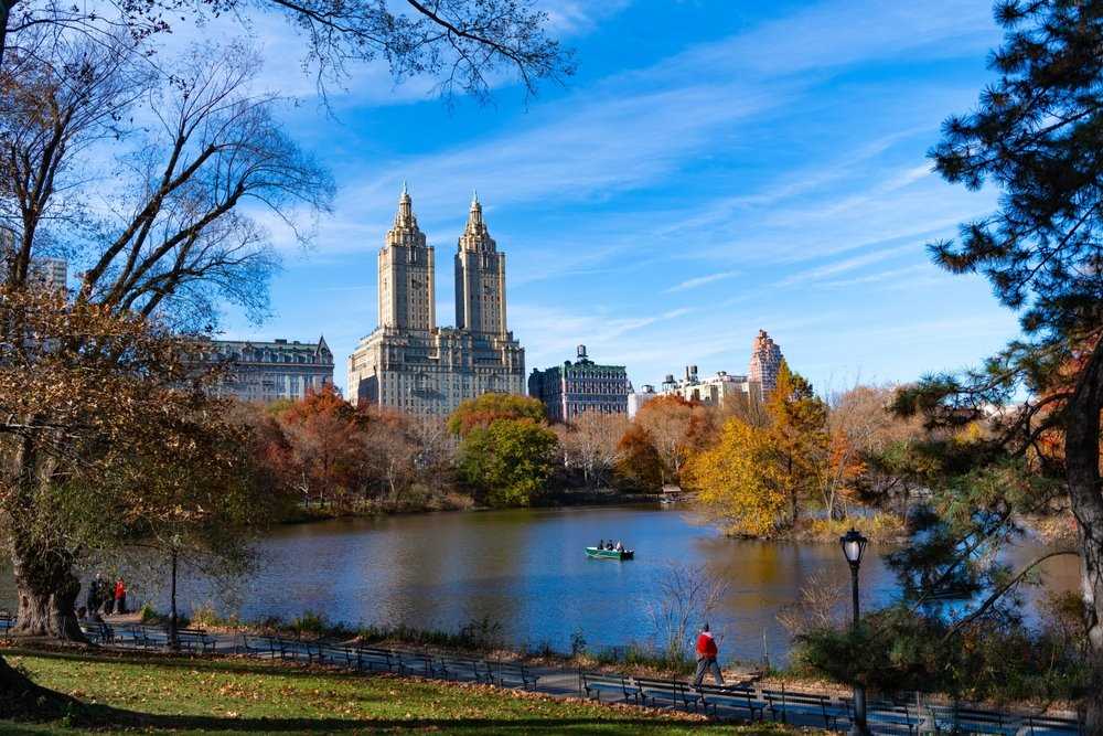 NYC1475[1].jpg