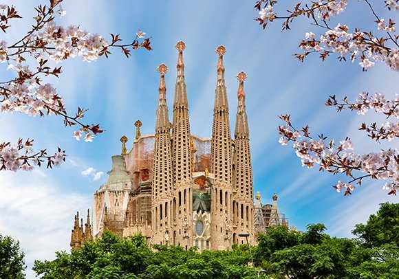 BCN923[1].jpg