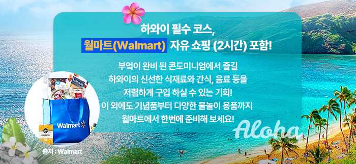 (v2)250808_하와이-설명회-및-일정표-내-이미지