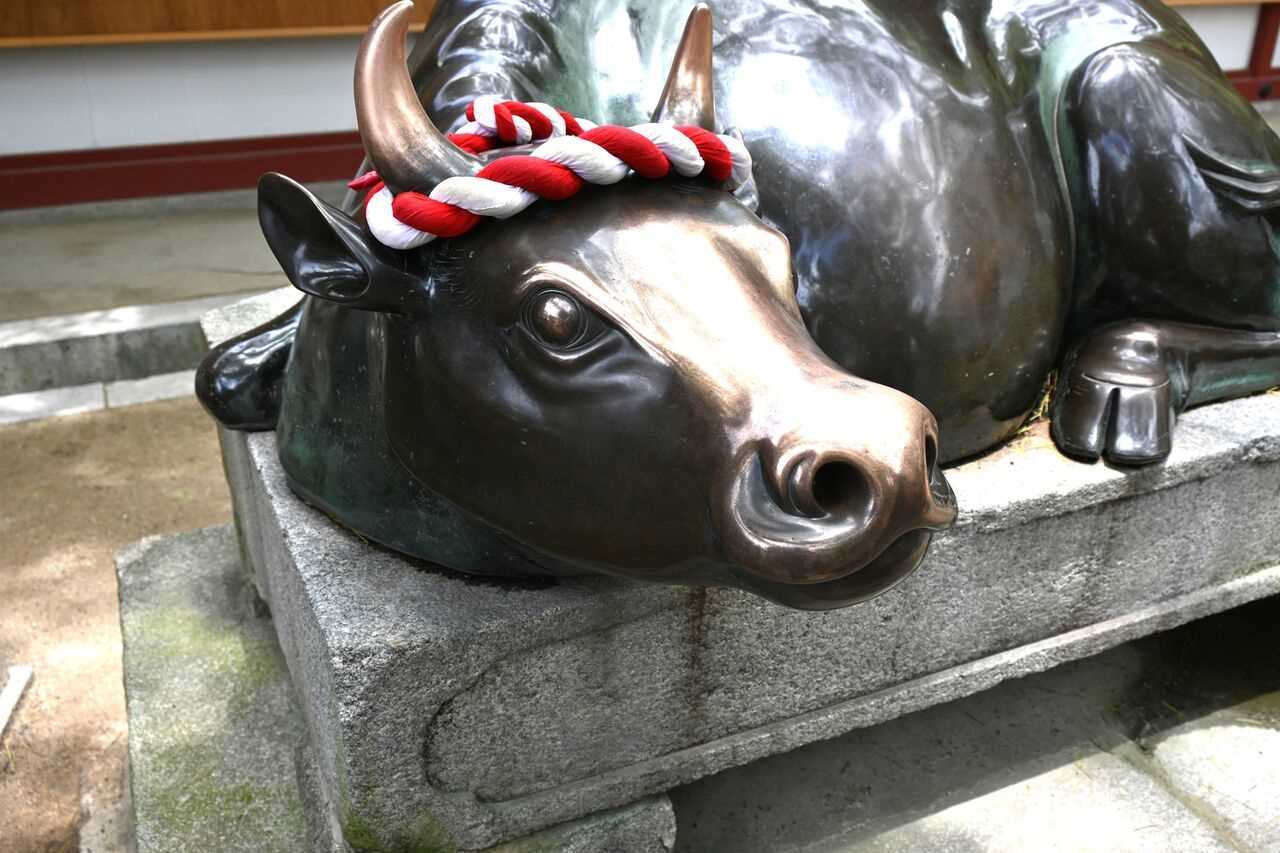 110b8d99