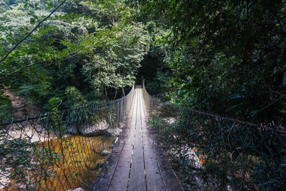 shutterstock_1012570414