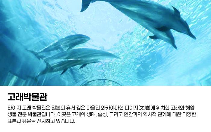 고래박물관.png
