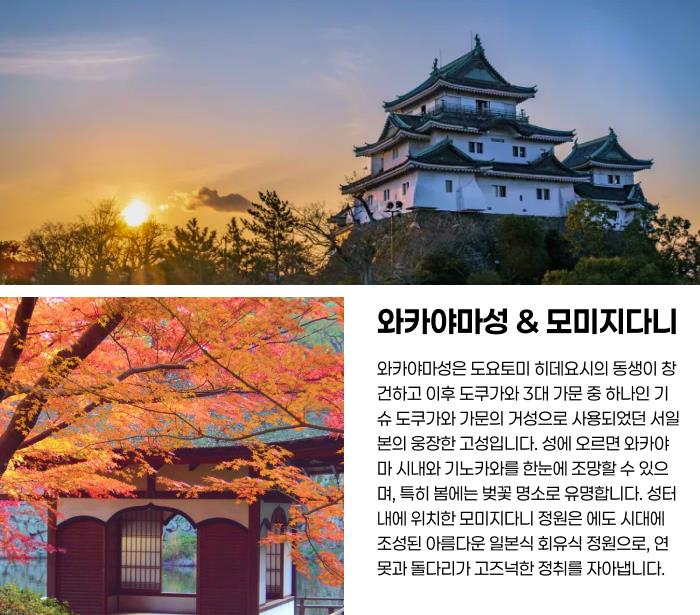 와카야마성 & 모미지다니.png