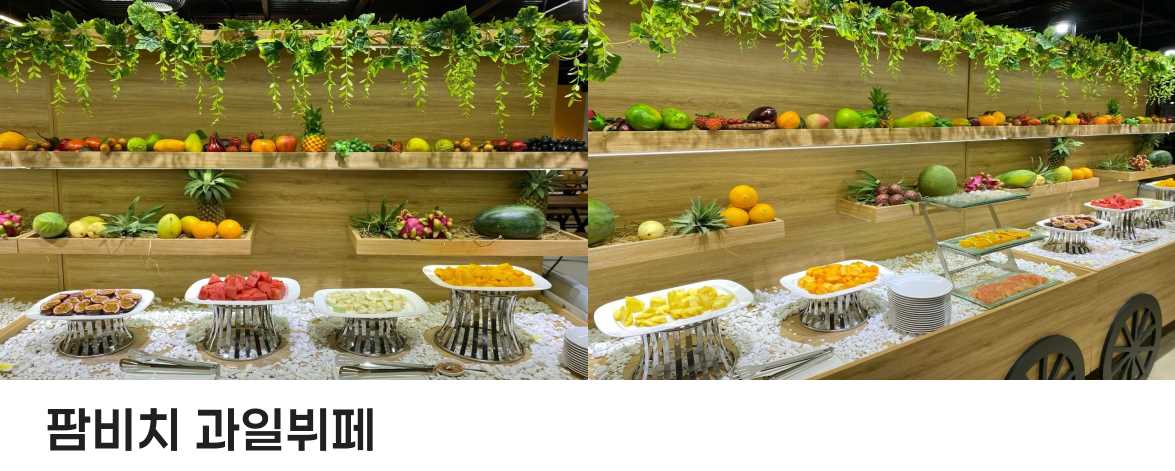팜비치 과일뷔페.jpg